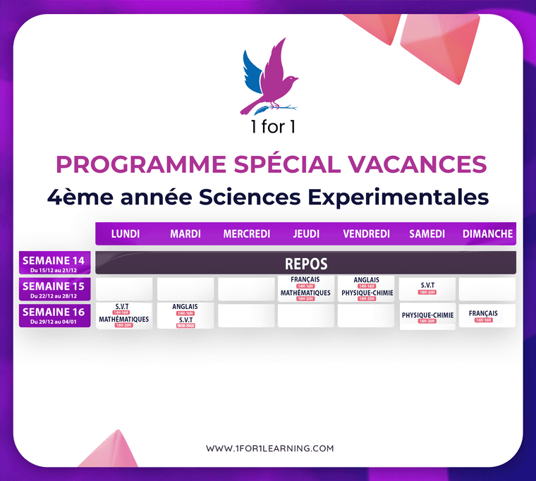 26a8b72f-0898-4f57-ac5a-937c11d21aa5-4 sciences.png