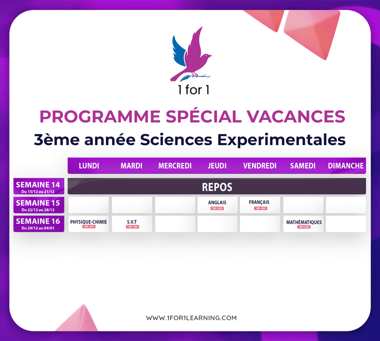 407abe95-ef5f-49e4-8e13-0af707e9e3c0-3 sciiences.png