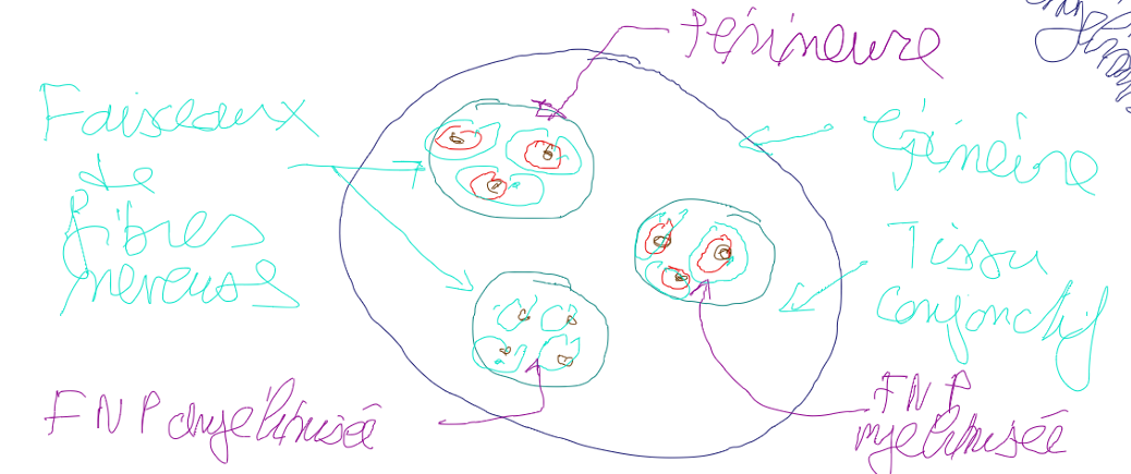 Capture d'écran 2026-01-18 113229.png