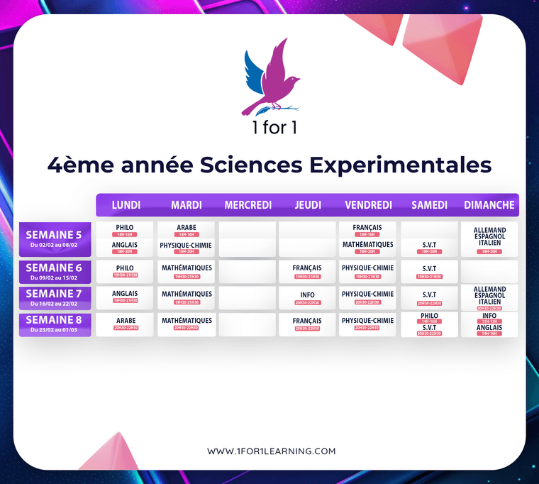 27fb7498-3e5f-467a-bdae-846cc4c828ee-4 sciences.png