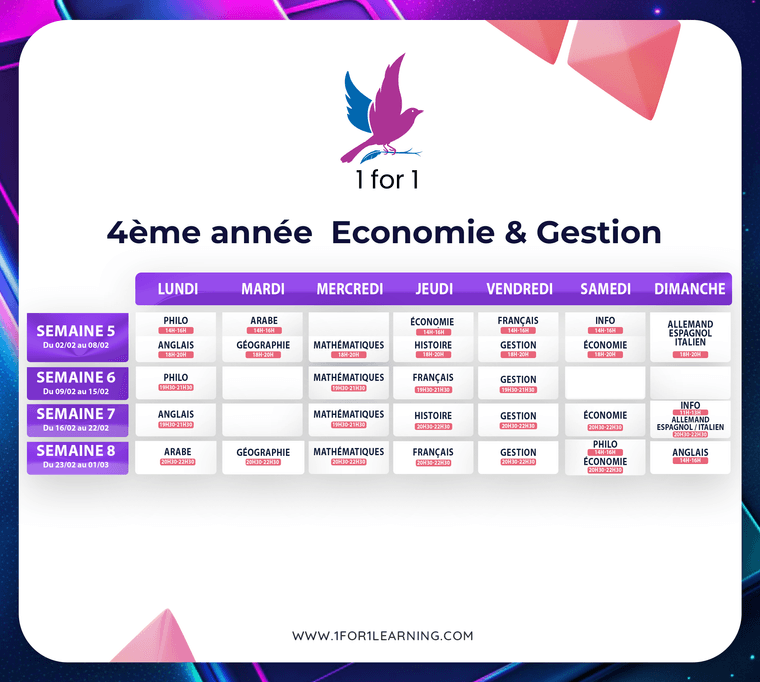 c11ff52b-b600-4fdd-a133-132b0c2e589a-4 eco.png