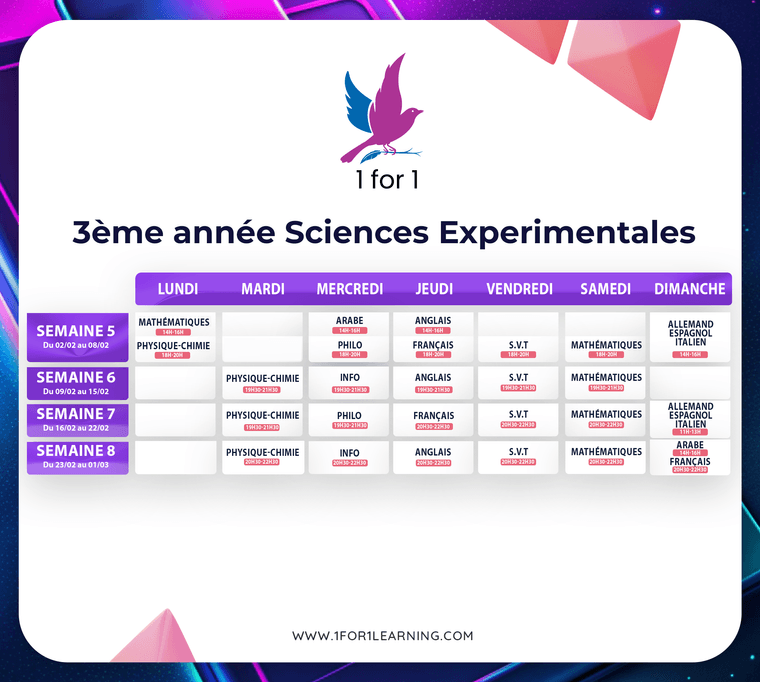 3547d6e4-4357-45a8-bcde-8fbe72ea553c-3 sciences.png