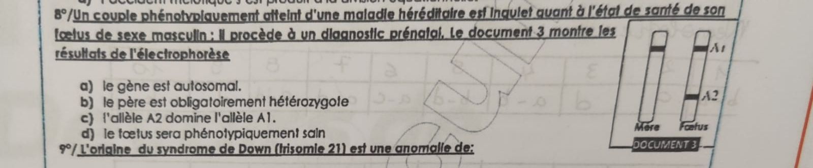 a4141dc2-d596-49a2-ab7d-83636afdb1fe-WhatsApp Image 2026-02-04 at 15.10.18.jpeg